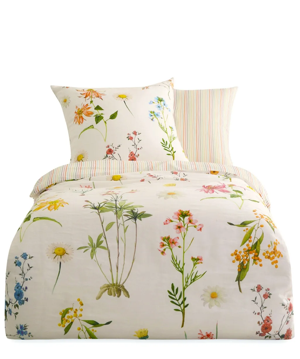 Provence Cassis Bunt – Freisteller 5