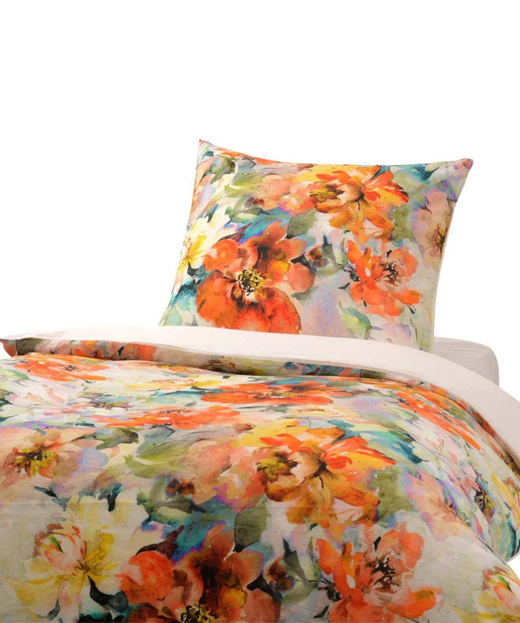 Provence Cassis Bunt – Freisteller 4