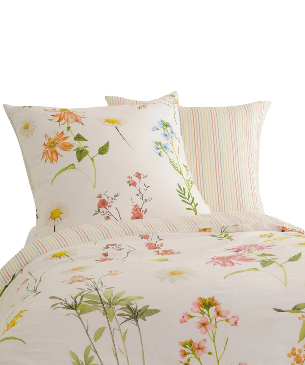 Provence Cassis Bunt – Freisteller 4