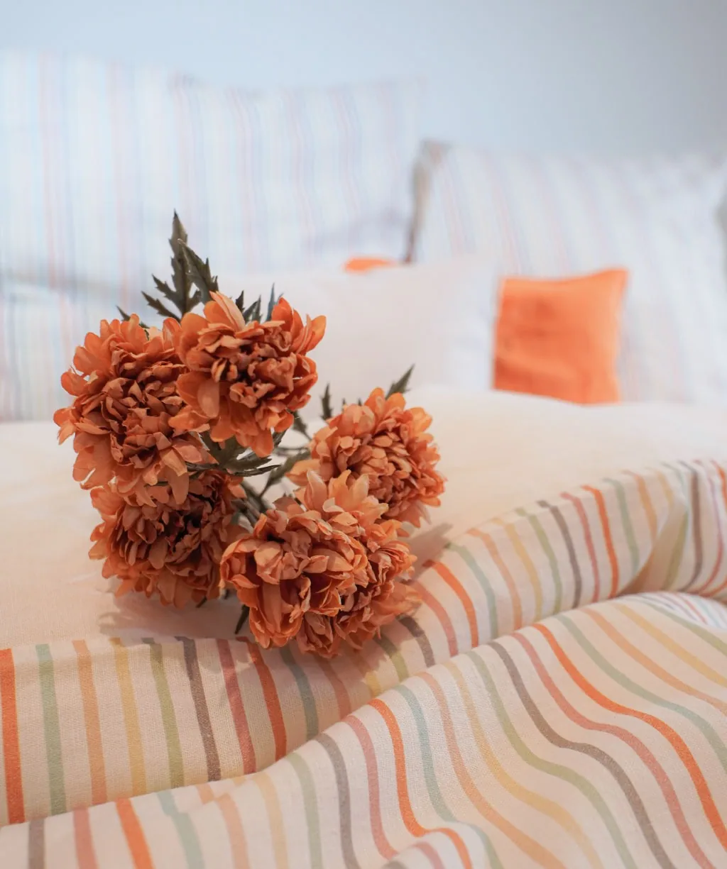 Provence Cassis Bunt – Ambiente 1