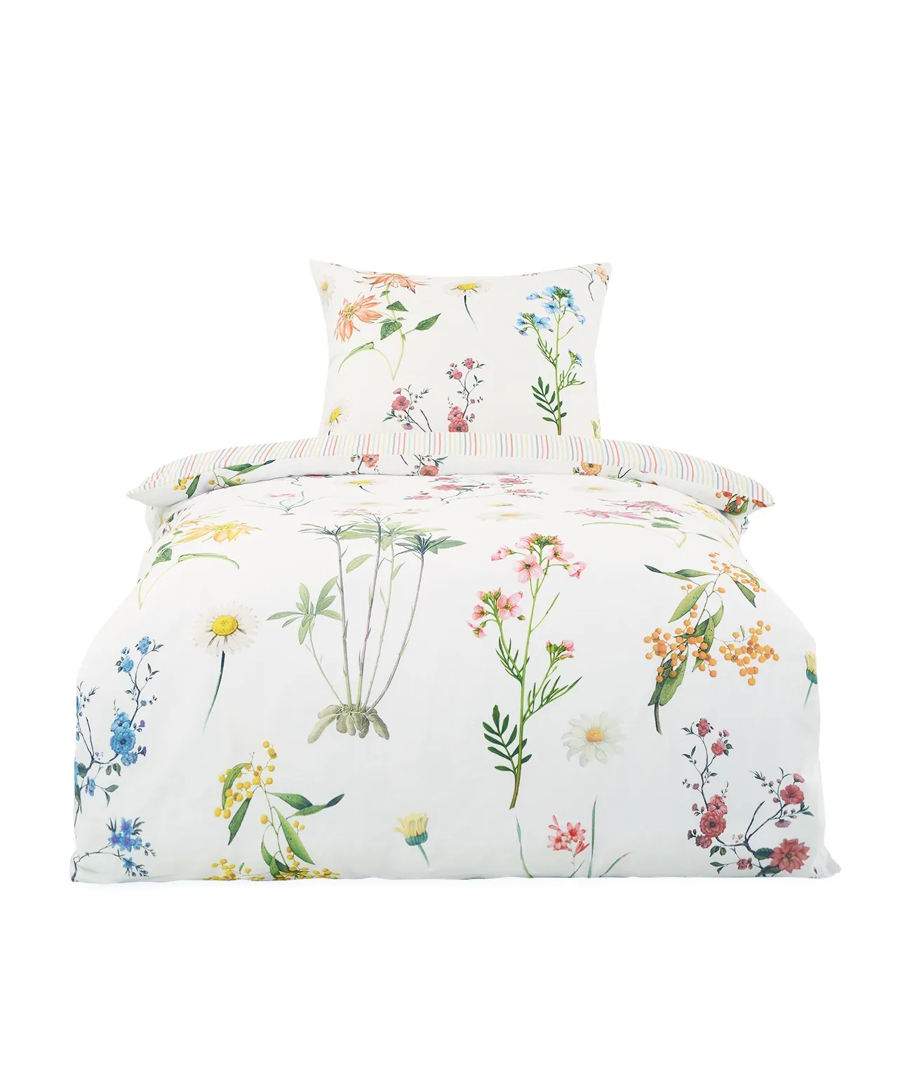 Provence Cassis Bunt – Freisteller 2