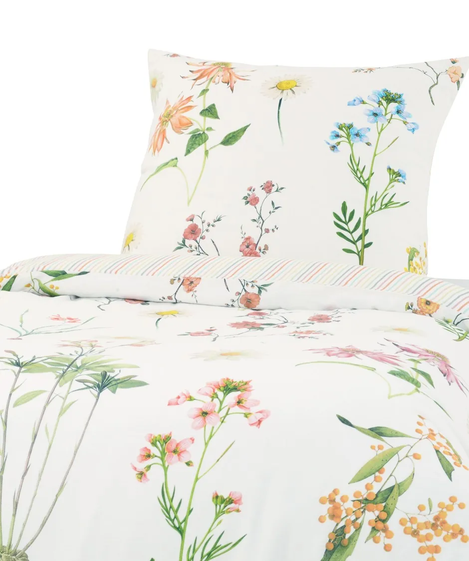 Provence Cassis Bunt – Freisteller 3