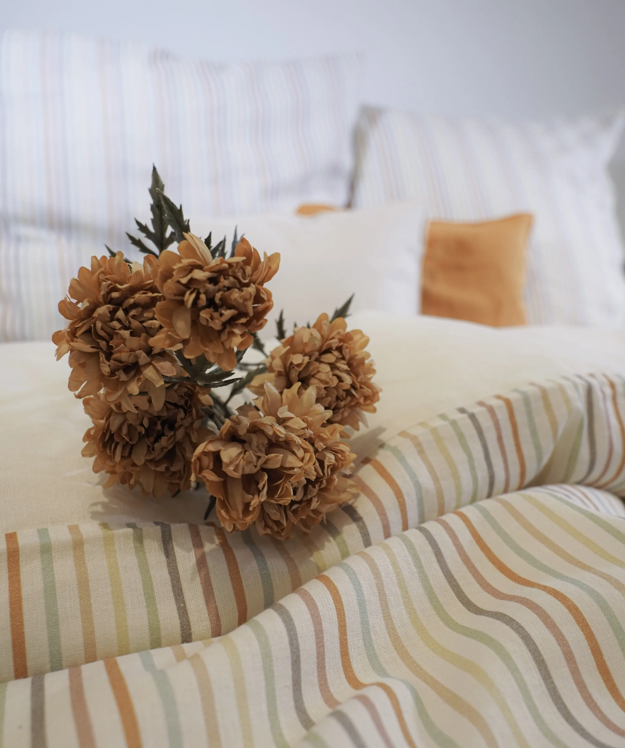 Provence Cassis Bunt – Ambiente 2