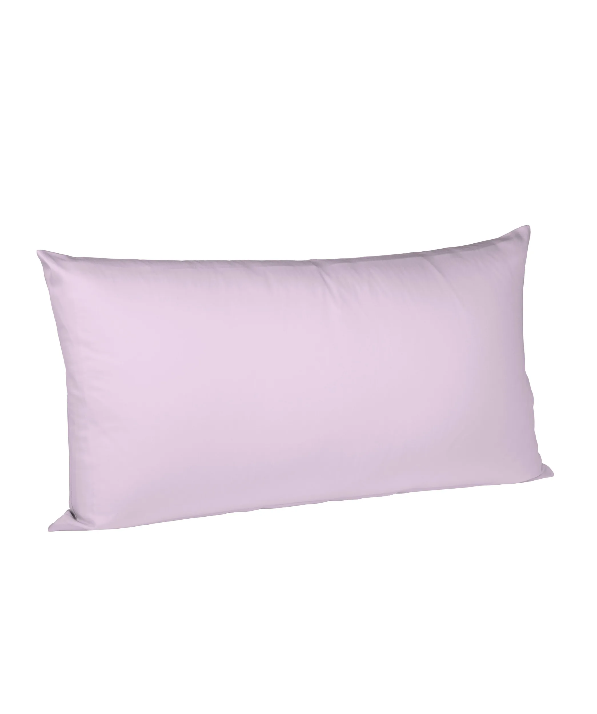 Provence Lavendel – Freisteller 2
