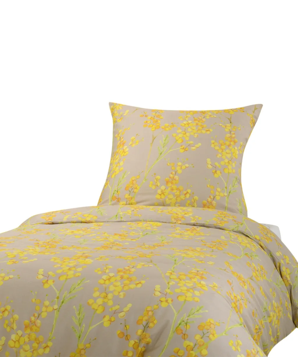 Modern Garden Beige – Freisteller 5